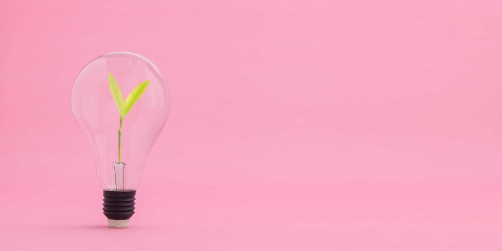 SEO and Google Ads compared for a business website